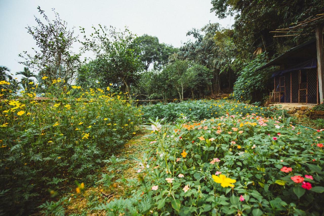 Bavi Homestead Ba Vi Buitenkant foto